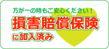 損害賠償保険に加入済み